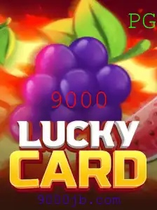Descubra o Fascinante Mundo de LuckyCard 9000